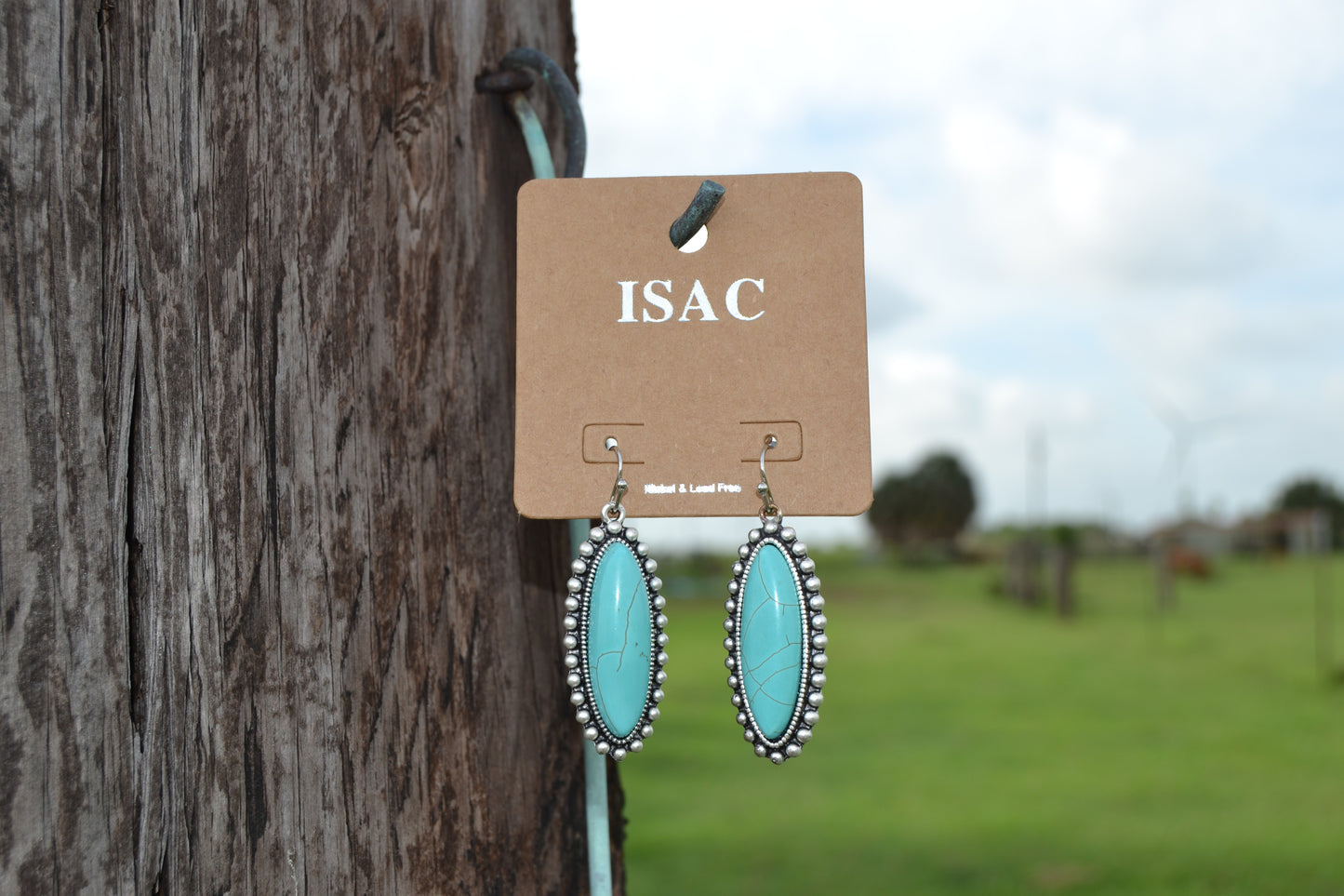 Long Oval Turquoise Earrings